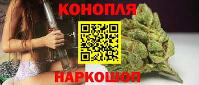 сатива Кунгур