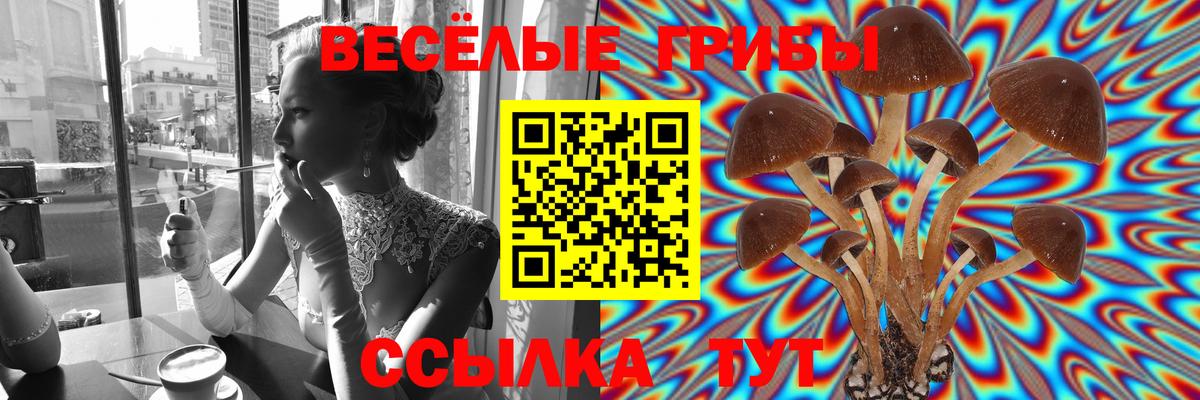 Псилоцибиновые грибы MAGIC MUSHROOMS Гудермес