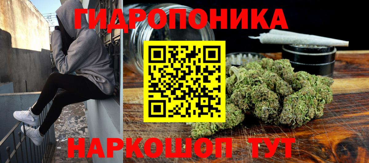 Канабис Amnesia  Бошки Шишки OG Kush  Вход с VPN  Гудермес 